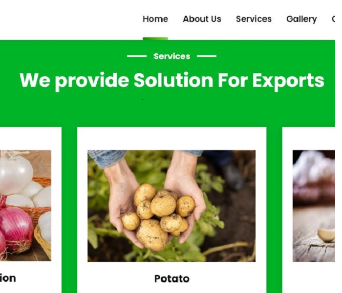 Grocery Exports & Imports Website Design In Trichy